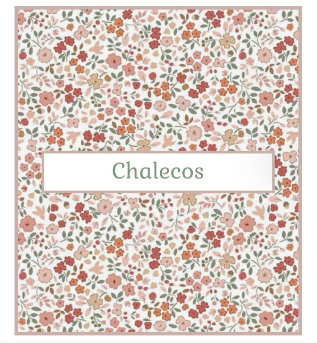 Chalecos