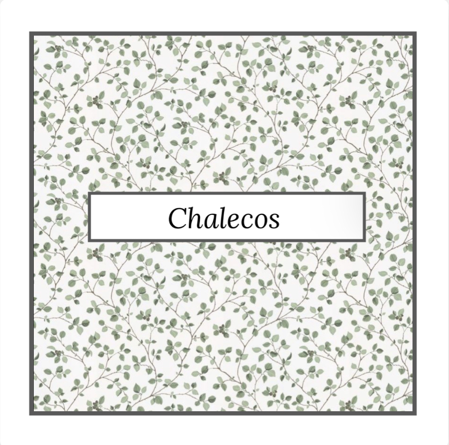 Chalecos_1.jpg